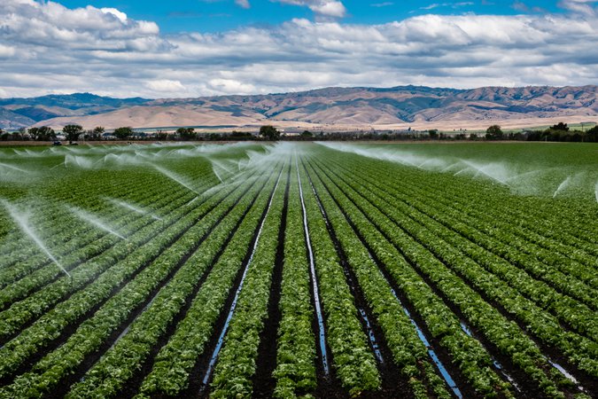 Watering crops